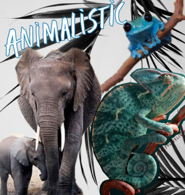 31.animalsname