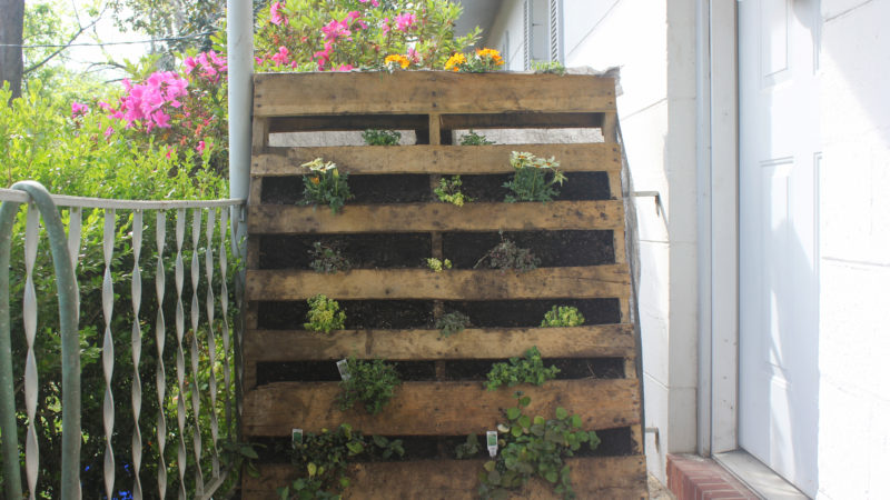 pallet planter