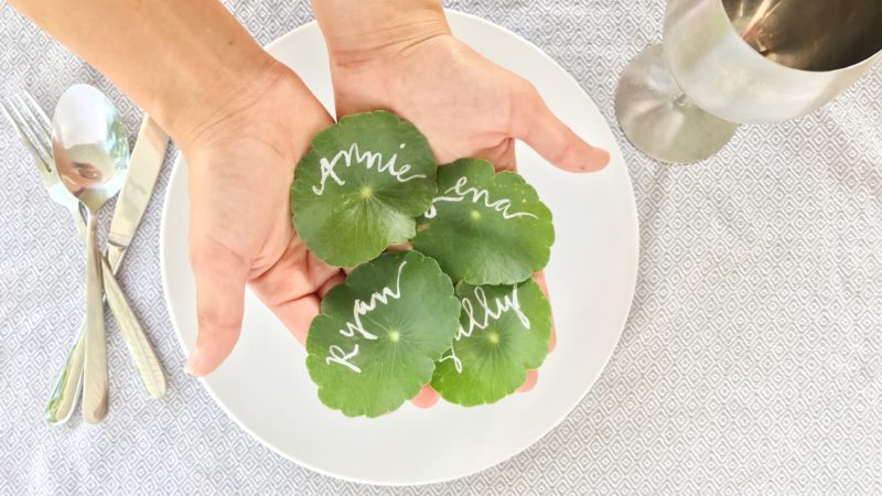 nature inspired place card ideas