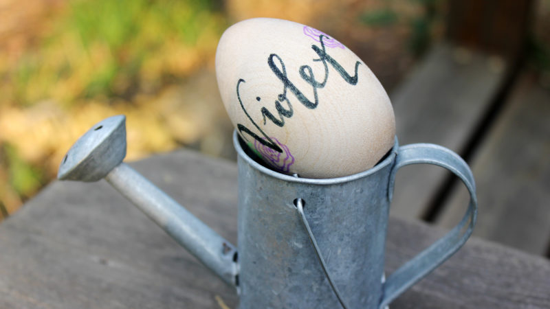 hand lettered egg