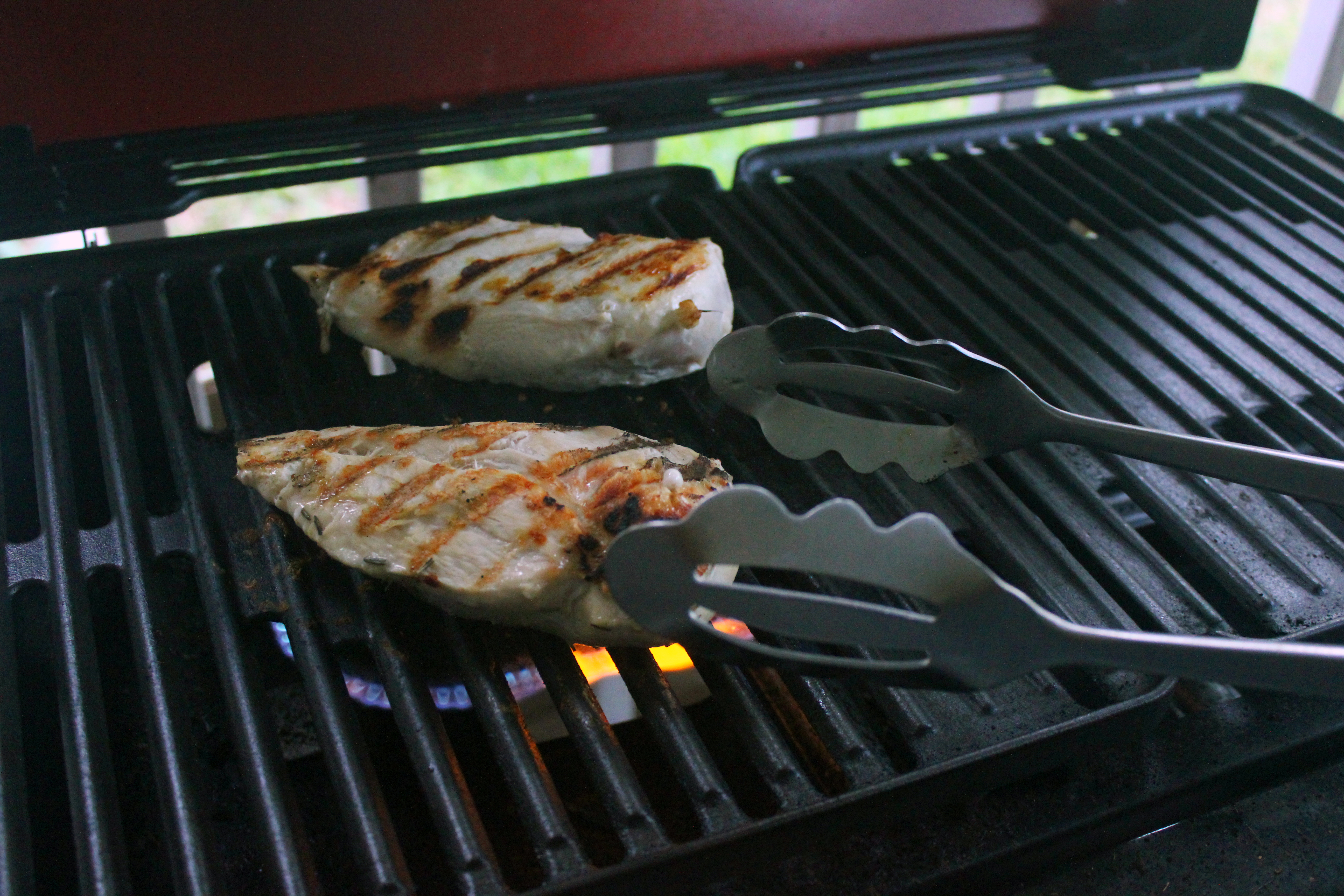 grilled chicken