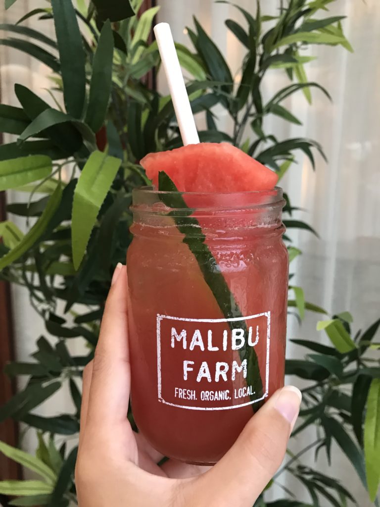 malibu farm miami