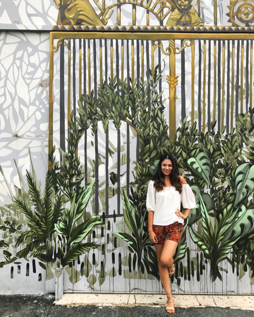 wynwood lovely olive living